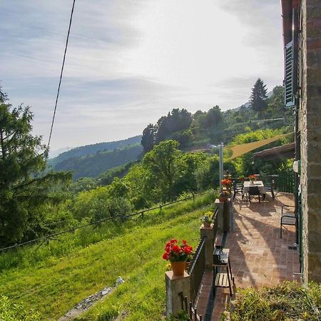 Petrognano  Casa Serena المظهر الخارجي الصورة