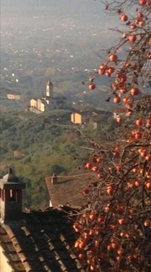 Petrognano  Casa Serena المظهر الخارجي الصورة